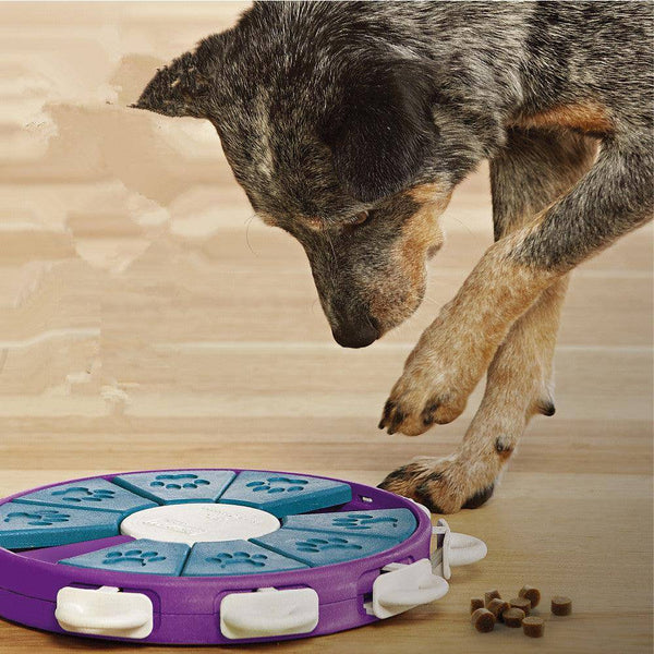 Canine Learning Puzzle Set — sliding panels + treat compartments