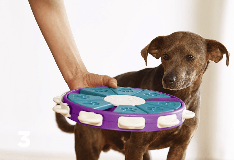 Canine Learning Puzzle Set — sliding panels + treat compartments — view 4
