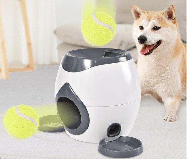 Auto Ball Launcher + Treat Dispenser — solo play that doesn't wreck the couch
